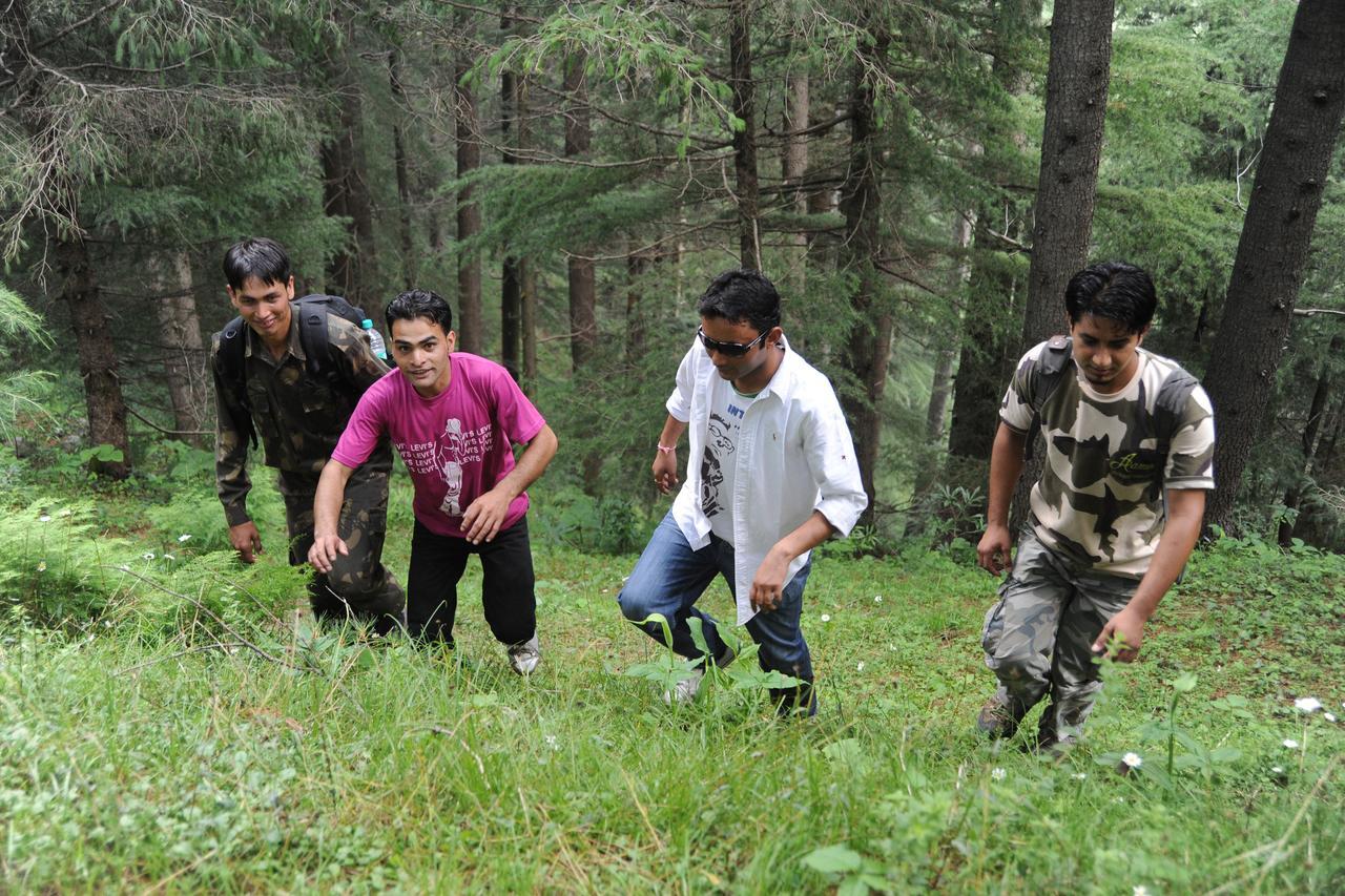 Aamod Resorts Dalhousie ! Luxury Cottage Resort Kültér fotó