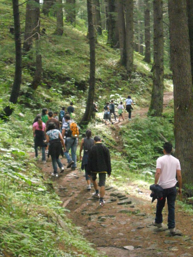 Aamod Resorts Dalhousie ! Luxury Cottage Resort Kültér fotó